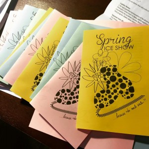 Small themed Program for Ice Show